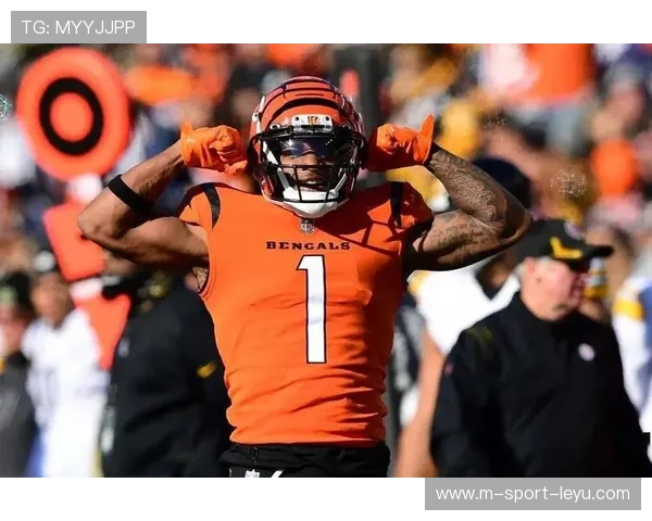 NFL 球员庆祝动作被罚！主帅怒吼裁判